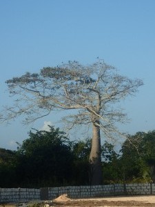 PC180231